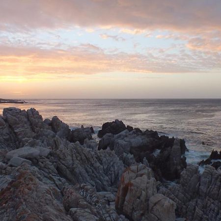 White Shark Guest House Gansbaai Exterior photo